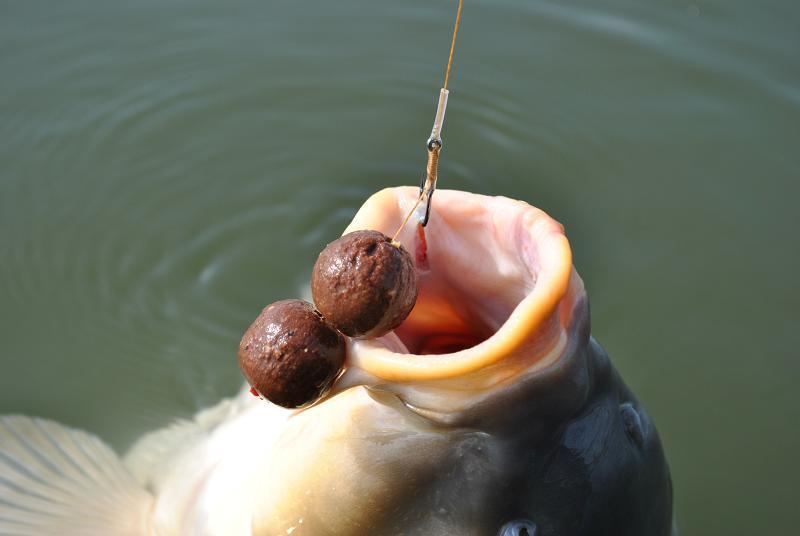 crapi - 30da9fe6-ff48-4f03-ba4d-bcba76122649.jpg